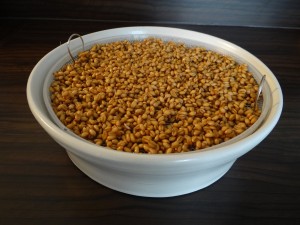 DSC09701