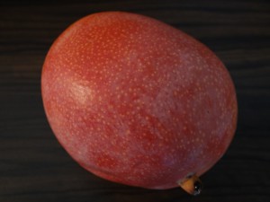 DSC09715