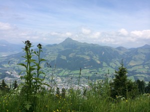 Ausblick Tirol