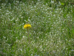Belohnung macht das Leben erst schön
