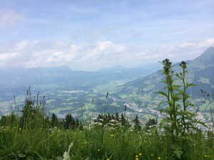 iPhone-Bilder_280714 452