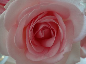 Dankeschön an dich!